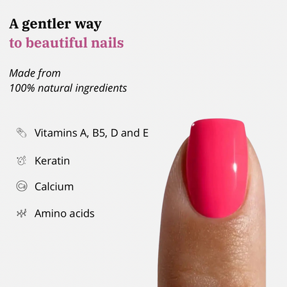 Perfect Manicure Kit Everlish